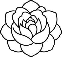 peony icon vector line art on transparent background