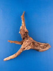 An up-close look at beautifully textured natural driftwood, perfect for adding character to aquariums or terrariums, presented on a vivid purple background.