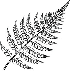 Naklejka premium Vector illustrations of green fern leaves and fronds, perfect for patterns or botanical decoration, isolated on white background