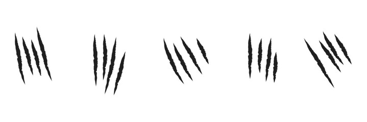 Animal Claw scratches mark set. Cat tiger scratches paw shape. isolated on White background . EPS 10 . 