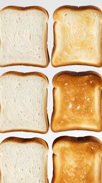 Rows of sliced bread, one set untoasted and another set toasted golden brown on a white background