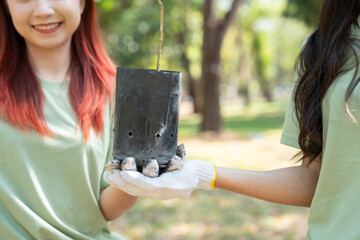 Close up hands holding soil and seedlings, volunteers embody caring and responsibility, showcasing...