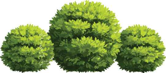 
Set of round green bush illustrations, lush garden foliage clipart, landscaping shrub elements, decorative nature plants isolated on white
