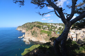 Rocks, stones and cliffs of the Codolar cove of Tossa de Mar in the south of the Costa Brava in summer