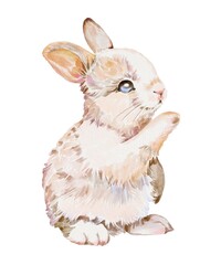 Cute Fluffy Beige Bunny Waving Paw Watercolor Clipart Hand Painted Vintage Style Animal Illustration Isolated On White Background Soft Woodland Character For Nursery Decor And Children Design 