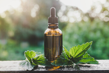 Wild organic Urtica dioica stinging nettle tincture or essential oil in small brown glass bottle outdoors with fresh leaves. Selective focus with copy space.