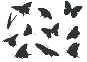 ButterFly-Silhouetten 