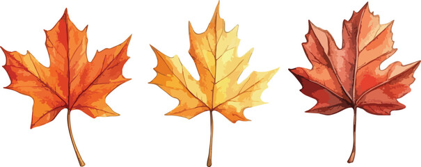 Watercolor Autumn Maple Leaves in Shades of Orange and Yellow