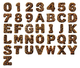 3D numbers and letters text made of tiger skin isolated on a white transparent background