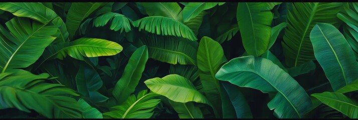 Fototapeta premium Lush Tropical Foliage - A vibrant showcasing a dense collection of large, green tropical leaves, perfect for backgrounds or nature-themed designs