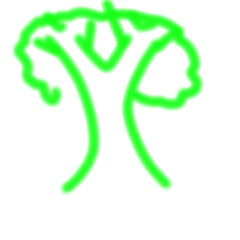 3d render of a female symbol on green background