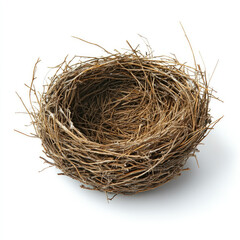 Empty bird nest made of dry twigs and branches