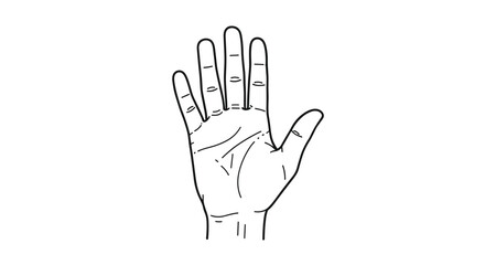 Obraz premium Human hand palm fingers lines anatomy illustration medical science healthcare biology