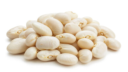 Creamy white cannellini beans, soft and smooth, perfect for soups, stews, and salads.
