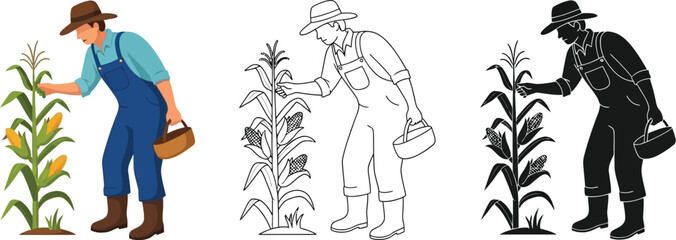 Farmer harvesting corn vector illustration agriculture farm fresh produce local food cornfield worker 100 vector