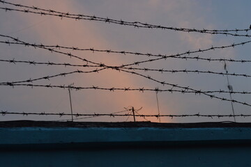barbed wire against the sky