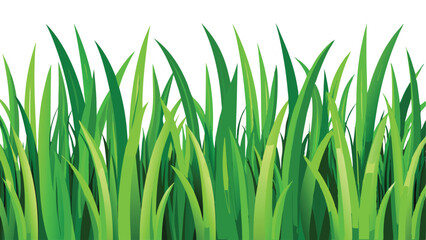 Fototapeta premium Lush Green Grass Blades Nature's Freshness