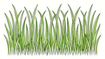Fototapeta premium Green Blades of Grass Illustration on White Background 