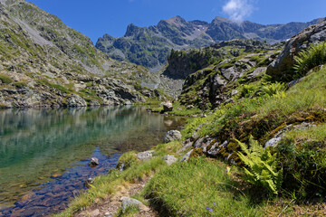 Lake Merlat is part of the Natura 2000 site of Belledonne named : Cembraie, lawns, lakes and bogs...