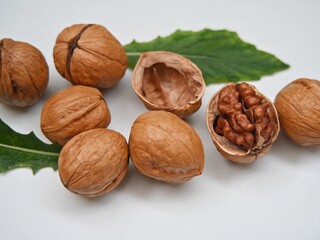 Ripe walnuts or Juglans or Kacang Kenari isolated on white background.