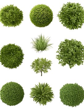 緑の球体コレクション