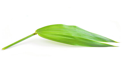 Obraz premium A single long lemongrass leaf, vibrant green and isolated on white. Perfect for culinary, herbal, or natural health themes.