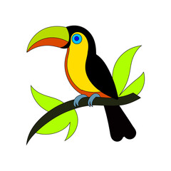 toucan on a branch