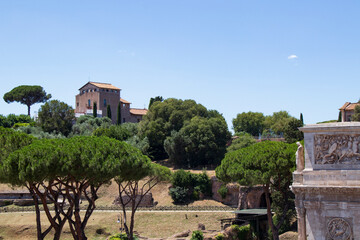 Fototapeta premium Historic house and pine trees on Palatine Hill in Rome, Italy. Old building surrounded by Mediterranean pine trees on Palatine Hill in Rome under clear blue sky