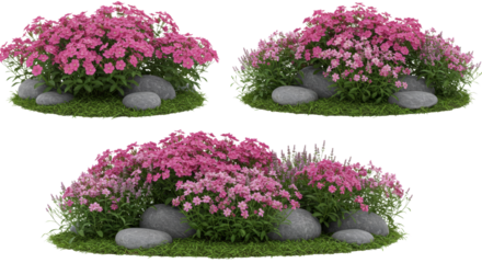 Flowering Garden Patches with Pink Blooms and Rocks