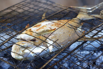 Traditional Charcoal-Grilled Catfish in Yogyakarta, Indonesia