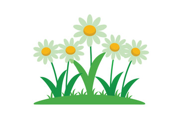 Vibrant Daisies in a Lush Green Meadow Spring Flowers Illustration