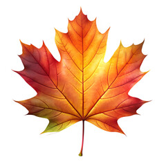 Fototapeta premium Maple Leaf, Realistic Fern Leaf PNG, Tree Leaf, Flat vector maple leaf, autumn maple leaf, Flat Botanical Leaf PNG, Photoreal maple leaf