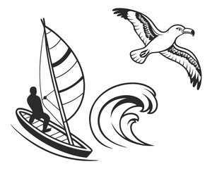 Windsurfing scene featuring sailboat bird and wave vector graphics on transparency