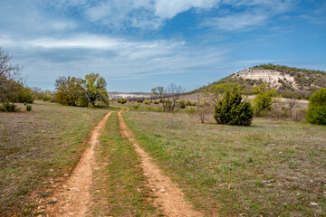 A dirt road in a field on a summer day.