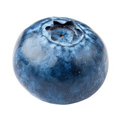 Single Blueberry Closeup isolated on transparent background  
