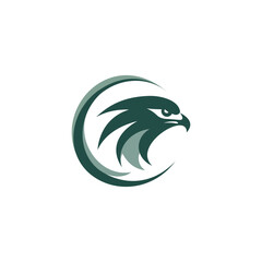 Fierce Hawk Head Logo with Crescent Design