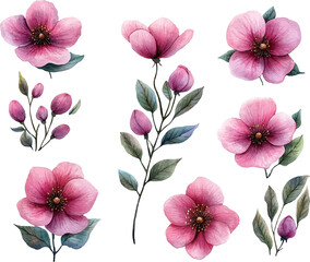 seamless pattern with pink flowers