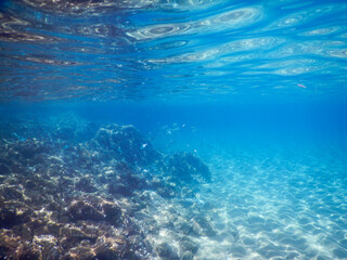 underwater view of the seabed