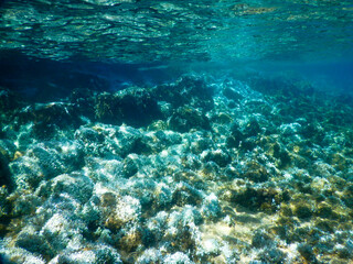 underwater view of the seabed