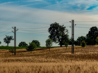 Strommasten im Feld