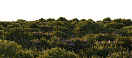 Obraz premium Tranquil Countryside Meadow with Lush Greenery and Wildflowers at Golden Hour. 3D render. 