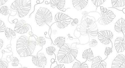 Delicate Monstera Leaf Outlines with Curving Vines in a Seamless Pattern Design. © KMB