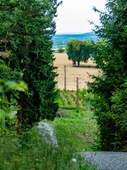 Strommasten im Feld