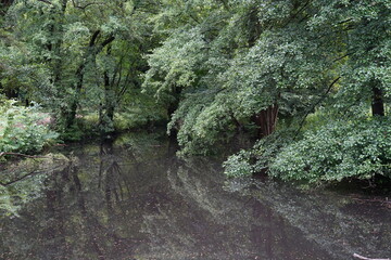 Flusslauf der Panke im Schlosspark Buch