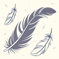 Obraz premium Elegant feathers in a soft artistic design available as a png with transparency