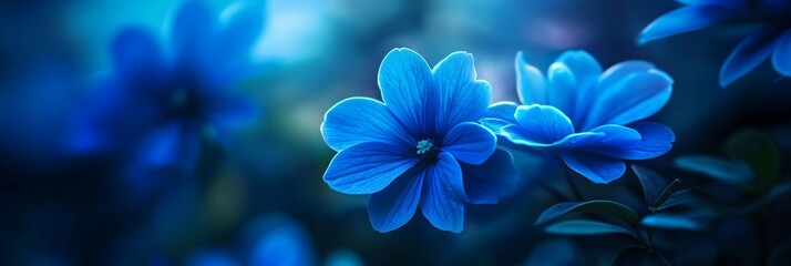 Serene Blue Blooms - Mystical blue flowers, symbolizing tranquility, mystery, serenity, dreams, and transformation. A captivating for relaxation and inspiration