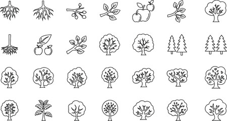 Trees line icon set. Vector pictograms of roots, branches, leaves, fruit, apple, orange, evergreen, tropical, thin linear illustration.
