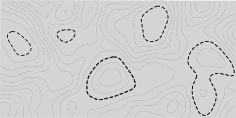 Abstract Topographic Contour Line Pattern in Black and White