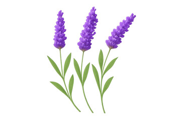 Naklejka premium Lavender flower trio with verdant foliage, floating against transparent backdrop, ideal for graphic design compositions