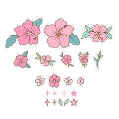 coastal_cowgril_color_pink4